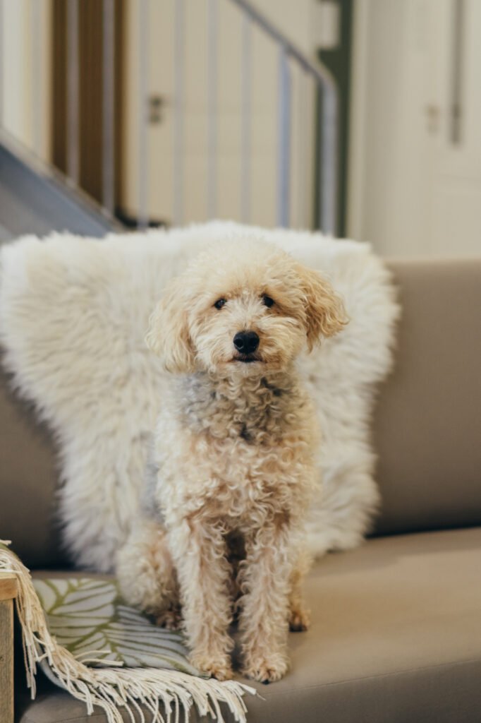 DAS-Heimkontor_Vertrieb-100